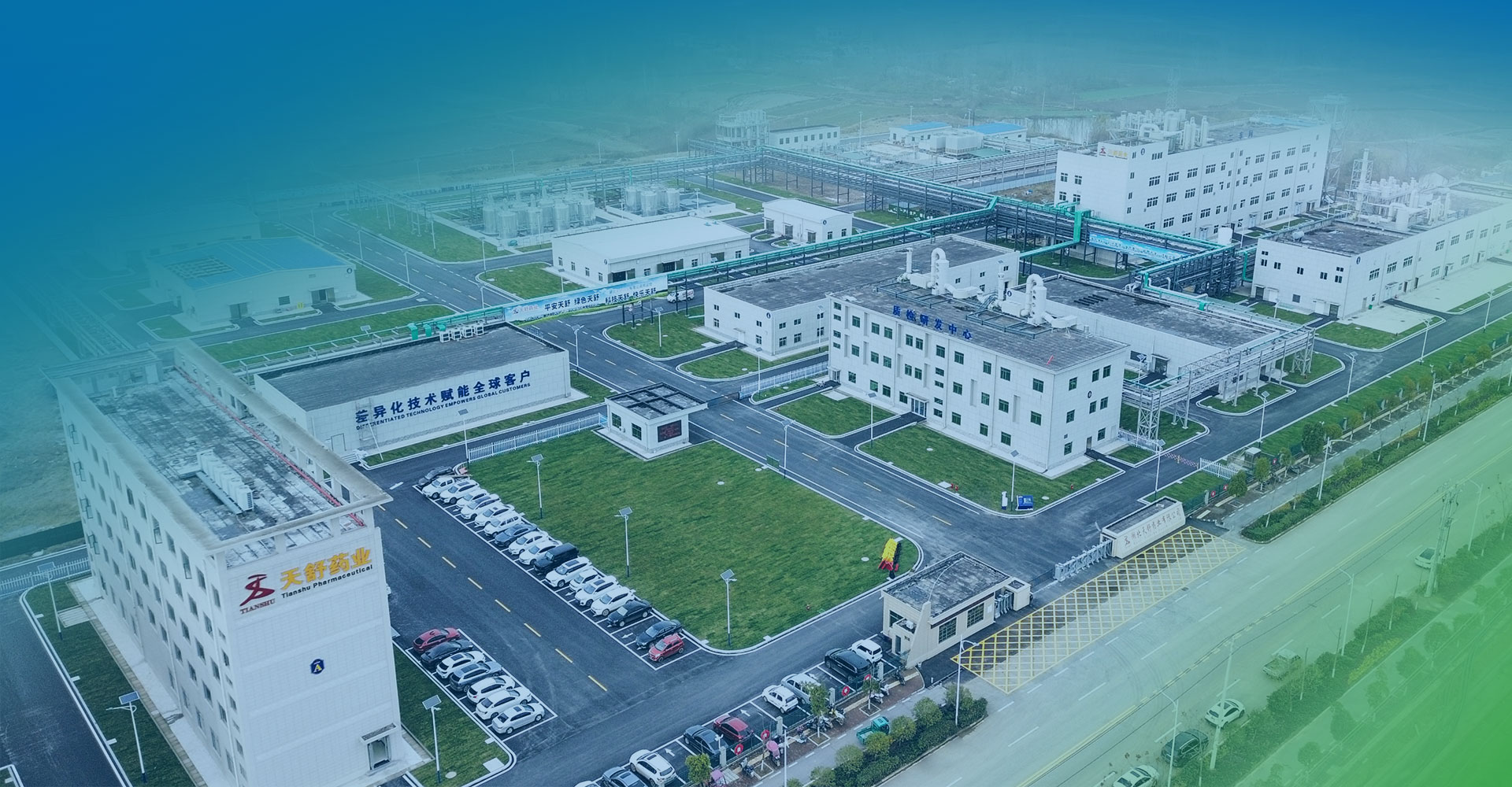 差异化技术赋能全球客户